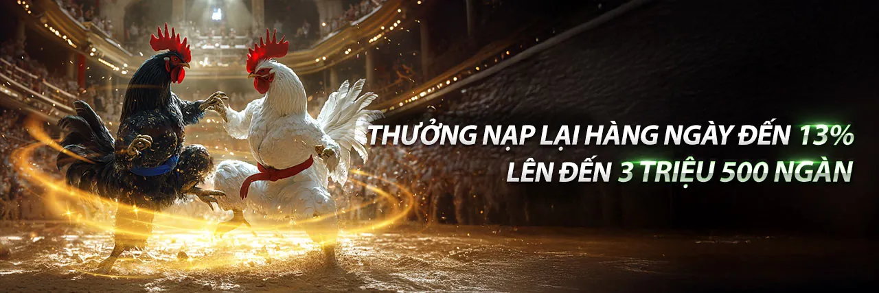 Đấu trường đá gà trực tuyến 333win3 chính thức